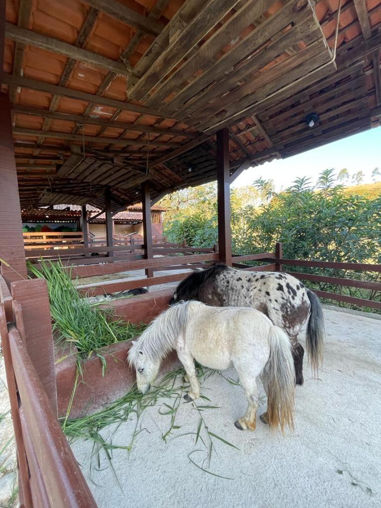 Hotel Fazenda Rochedo Conservatoria Luaran gambar